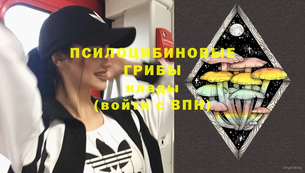 apvp Горно-Алтайск