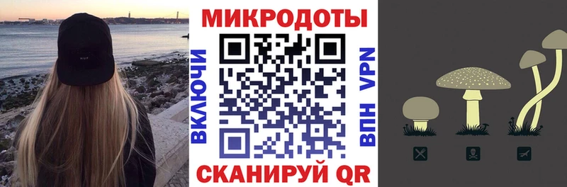 купить Облучье Галлюциногенные грибы Psilocybine cubensis